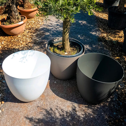 Pflanzkübel | Übertopf | Blumentopf | Pflanzgefäß XXL 60 & 80 cm