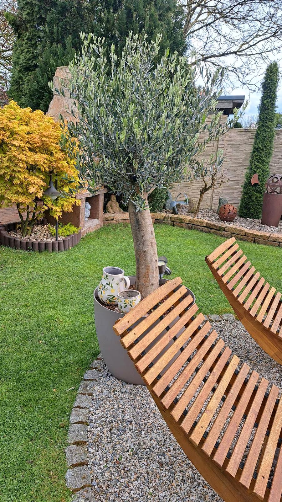 Pflanzkübel | Übertopf | Blumentopf | Pflanzgefäß XXL 60 & 80 cm