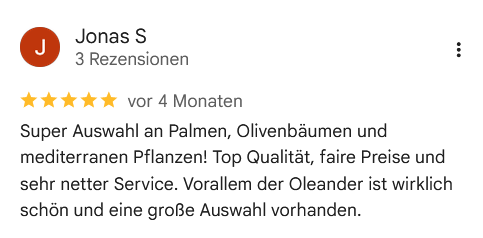 Google Bewertung 5