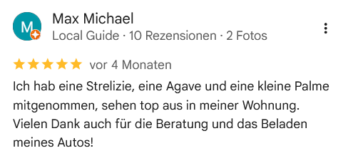 Google Bewertung 7